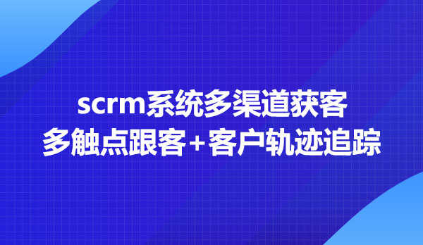 scrm系统开发