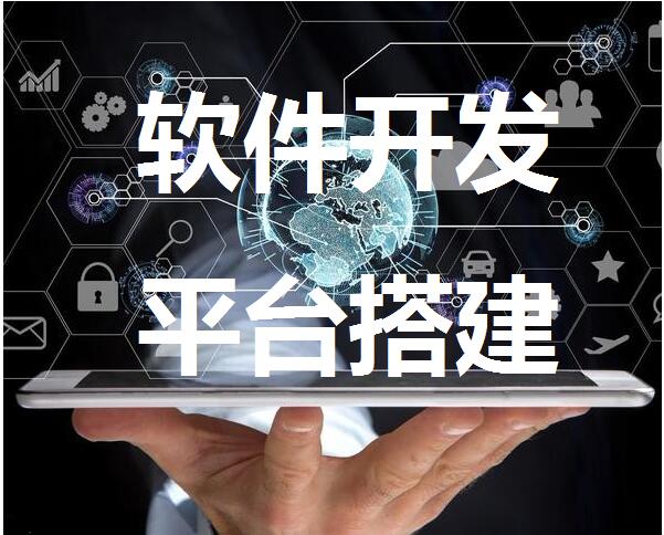 淘客使用淘客APP做运营赚钱分析