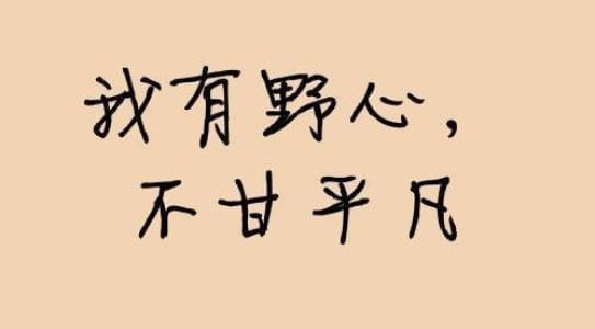 如何运营好淘宝客小程序